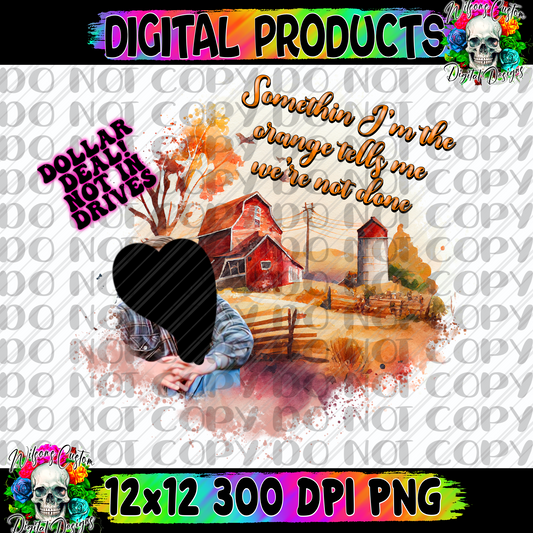 Something in the orange