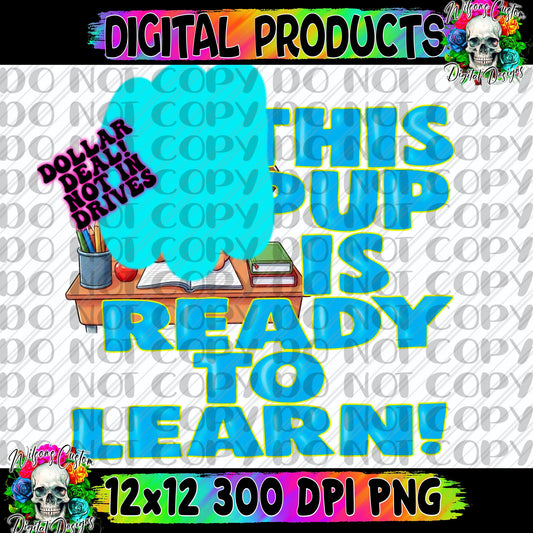 This pup is ready to learn