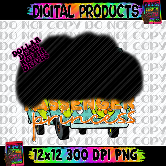 Passenger princess SD