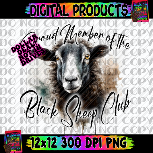 Proud member of the black sheep club