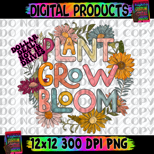 Plant grow bloom