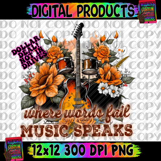 Where words fail music speaks